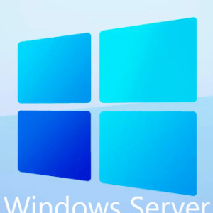 Windows Server 2022 Standard (PC)