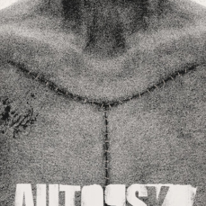 Autopsy Simulator (PC)